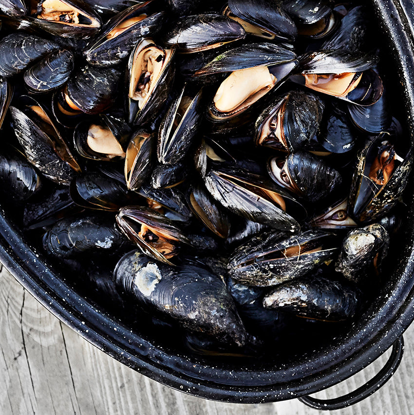 Lemony grilled mussels, made with Saltverk sea salt