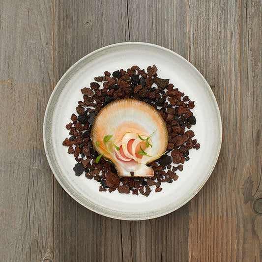 Rhubarb and scallop ceviche with Saltverk sea salt