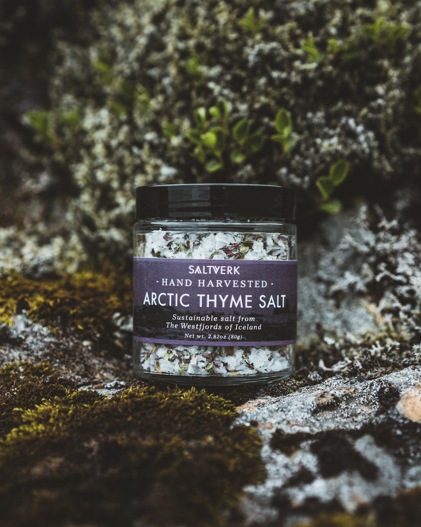 Jar of Saltverk Arctic Thyme Salt on a textured stone surface