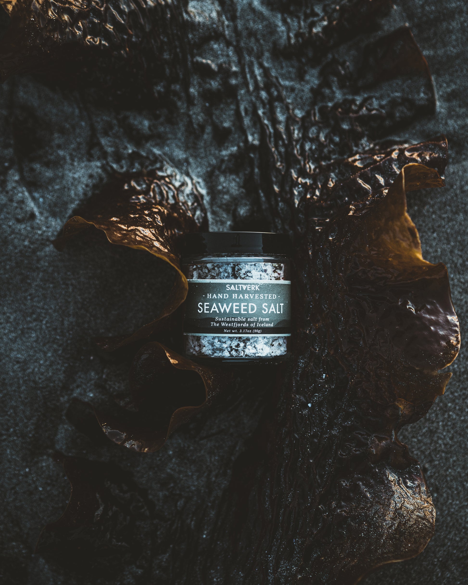 Jar of seaweed salt on a dark, textured surface